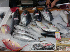 久礼大正町市場に並ぶ魚