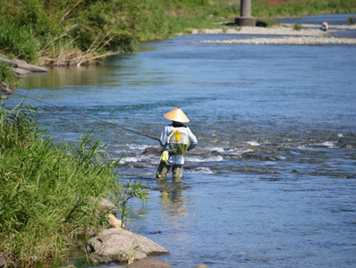 新荘川における鮎釣りシーン